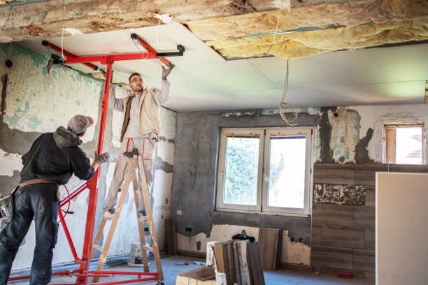 Best Insulation Maintenance and Repair in Mead, CO