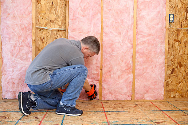Best Residential Insulation in Mead, CO